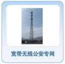 宽带无线公安专网